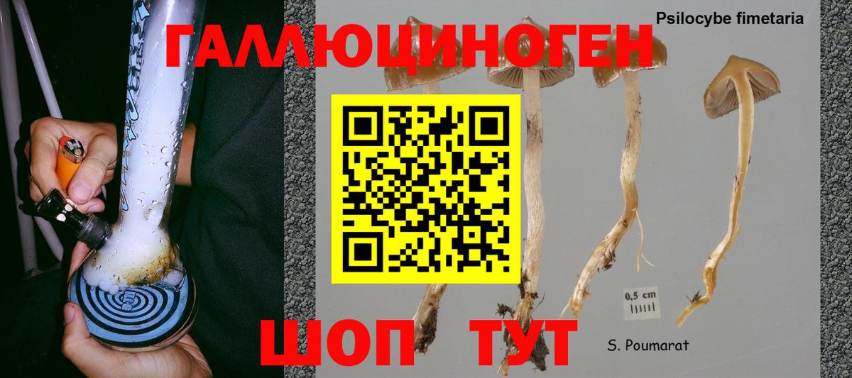 Мурманск  Псилоцибиновые грибы MAGIC MUSHROOMS  Псилоцибиновые грибы мицелий  Вход с VPN 